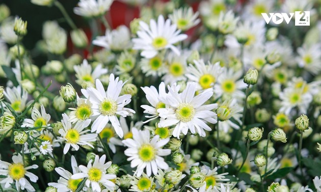 おしゃべりタイム(１２月１０日)