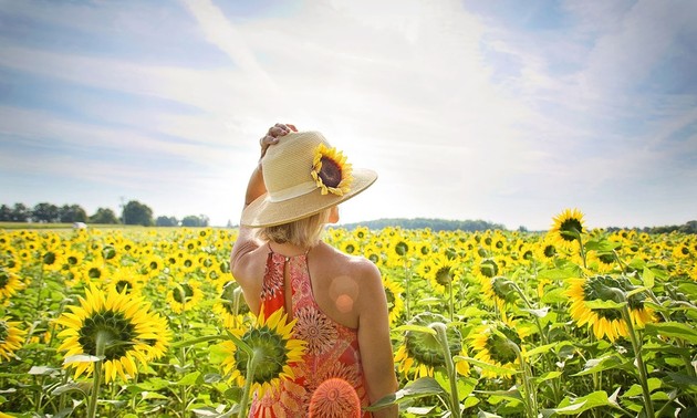 コロナ禍で元気がでる曲