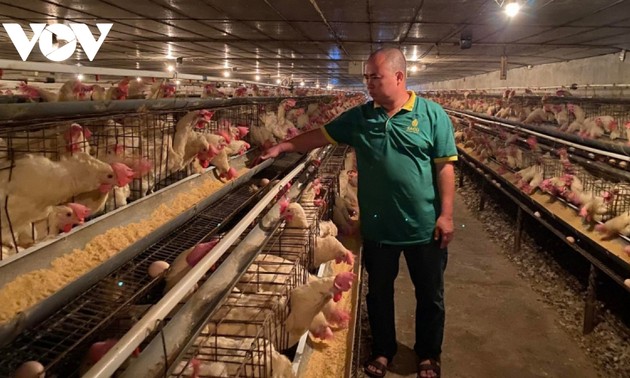 鶏に音楽を聞かせて鶏卵の質的向上を図る青年