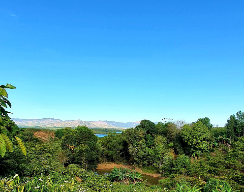 おしゃべりタイム（3月31日）