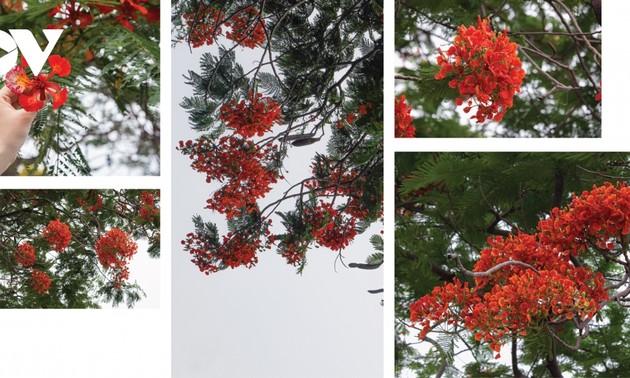 おしゃべりタイム（５月１2日）