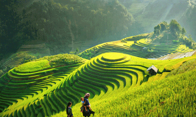 美しいベトナムの特集