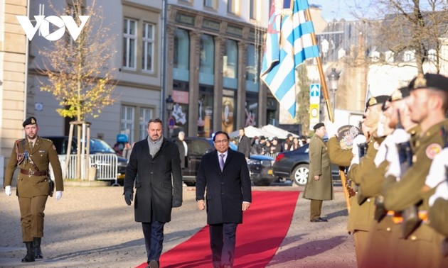  ベトナムとEU諸国の協力関係を新たな段階に押し上げる