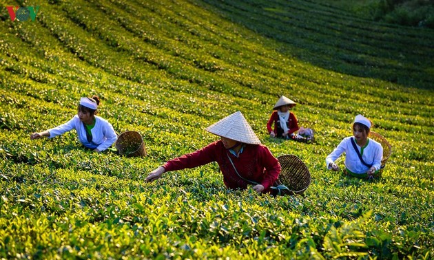 リスナーとともにおしゃべりタイム（5月25日）