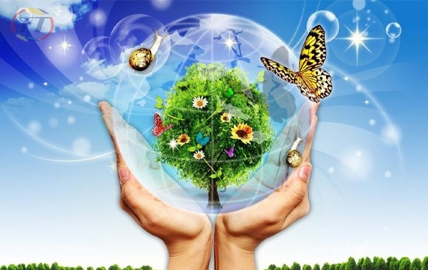 環境保護に関する曲