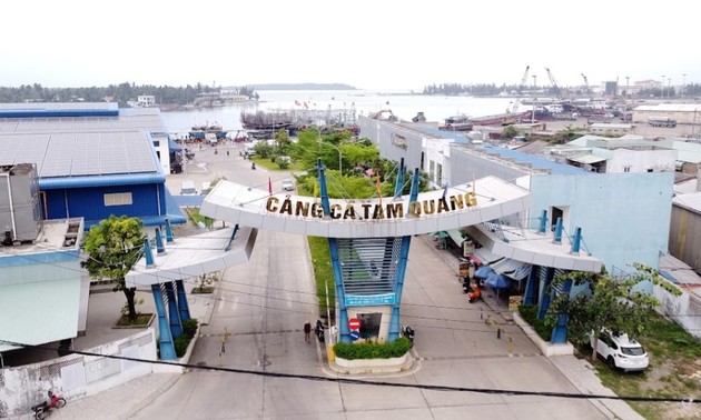 クアンナム省タムクアン村での漁獲