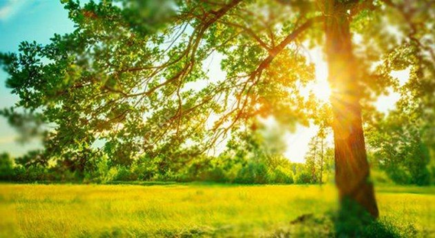 夏の残暑にちなんだ歌