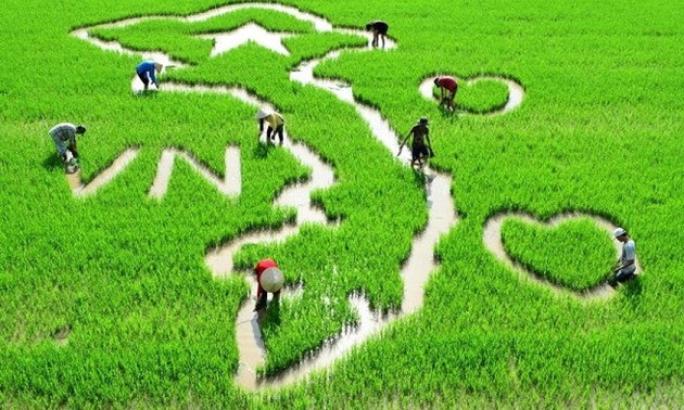 一弦琴ダンバウの演奏