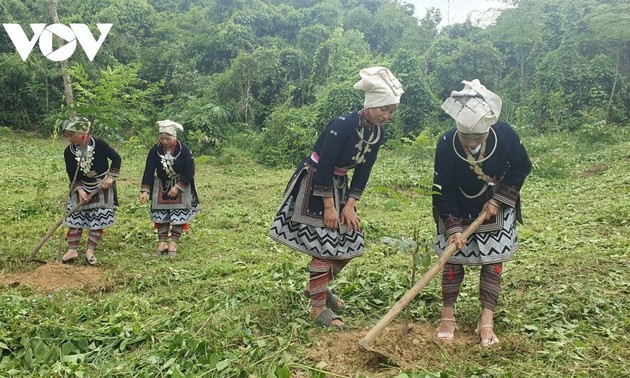 カー集落で高まっている春ムード