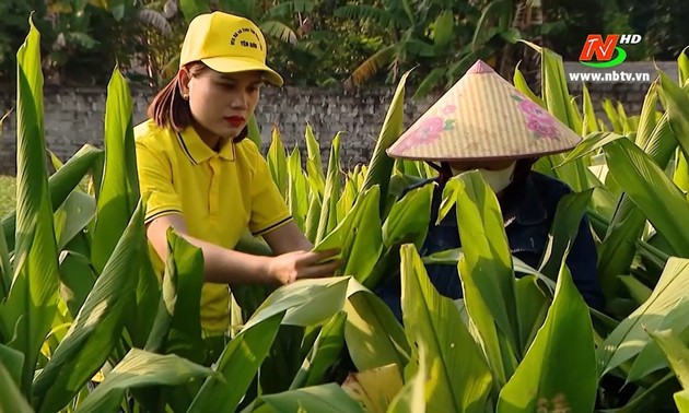 生薬の生産開発でスタートアップに成功した女性たち