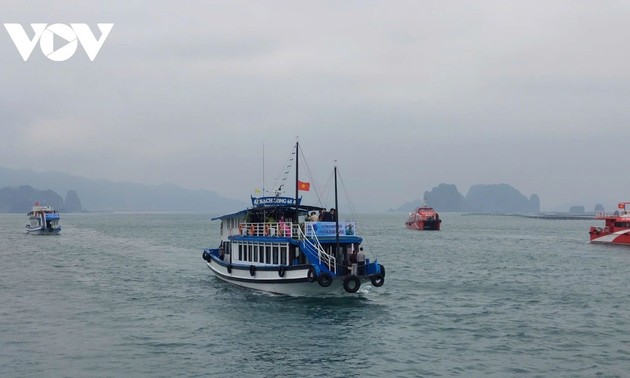 クアンニン省、バイ・トゥ・ロン湾の観光潜在力の活用に注力