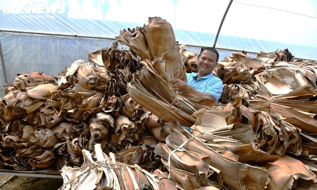  ビンロウの葉鞘による食器の製造
