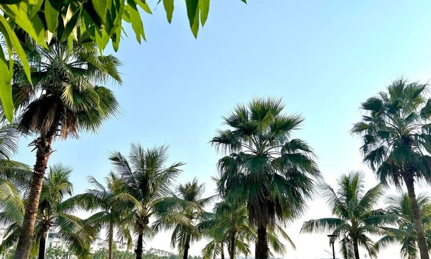 初夏にちなんな曲