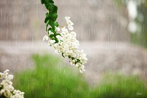 涼しさにちなんだソング