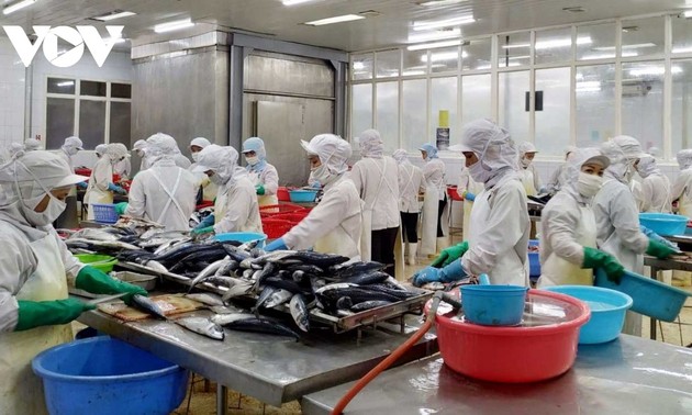 ベトナムの水産物輸出が好調