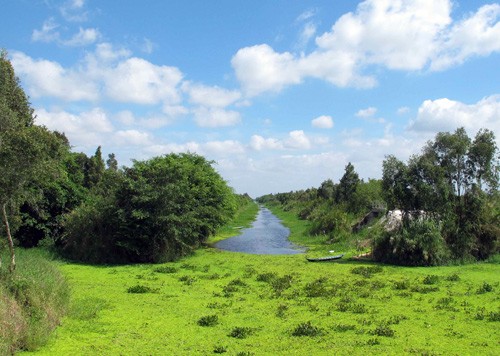 Memberikan sertifikat  Taman Pusaka ASEAN kepada  Taman Nasional U Minh Thuong.