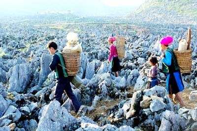 Daerah dataran tinggi Dong Van  menyerap kedatangan ribuan wisatawan  selama 3 Hari Raya Tet