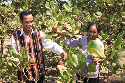 Changes in ethnic minority communities in Binh Phuoc province