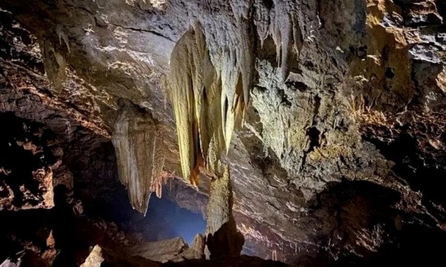 22 more caves discovered in Phong Nha – Ke Bang National Park