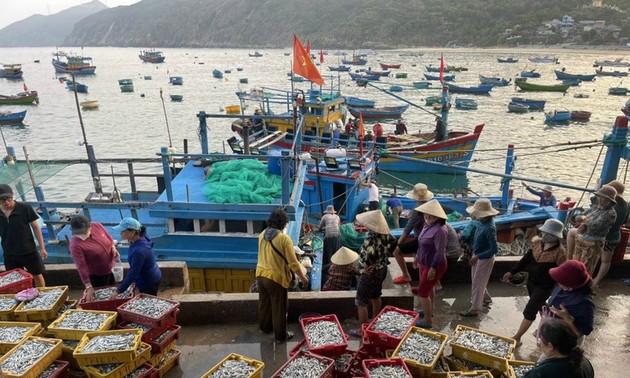 Measures against IUU fishing tightened 