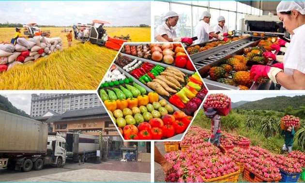 Vietnam’s agricultural products become more popular in EU 