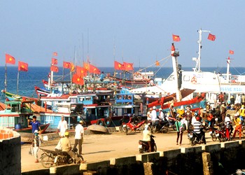 Quang Ngai targets to modernize new fishing fleet 