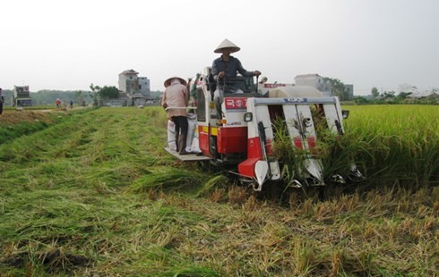 Restructuring cultivation, husbandry, and aquaculture