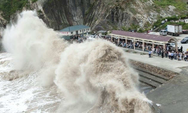 China evacuates 865,000 people before typhoon Chan-hom