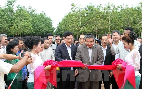 Vietnam rubber latex processing plant built in Cambodia 