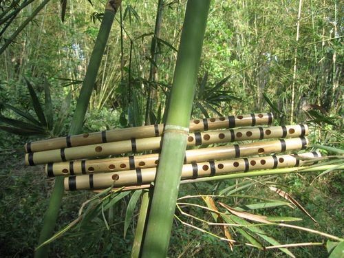 The Vietnamese Bamboo Flute