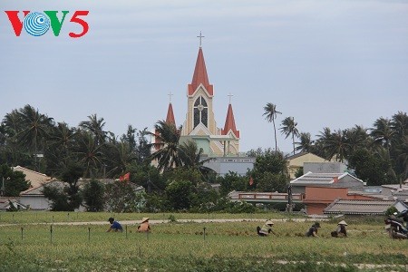 Onion and garlic farming on Ly Son Island 