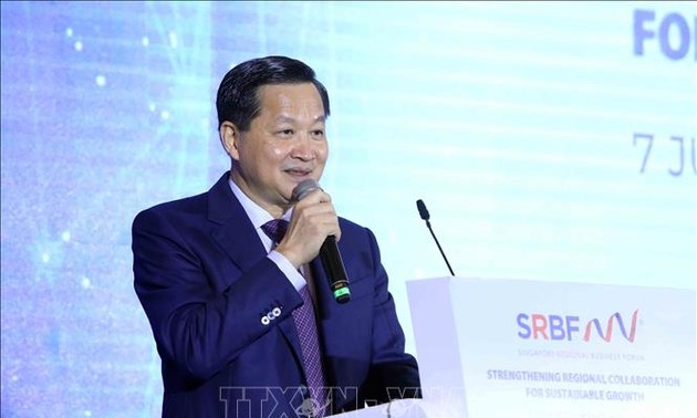 Vietnam determines economic cooperation key to partnership with Singapore