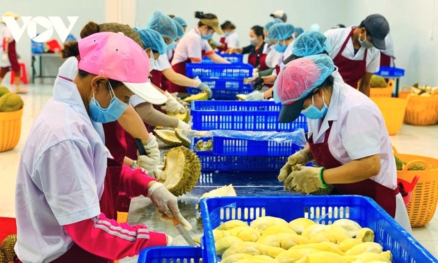 11-month agriculture trade surplus hits 16.5 billion USD