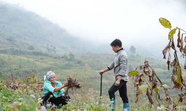 IFAD helps Vietnam’s rural areas adapt to climate change, invest in green future