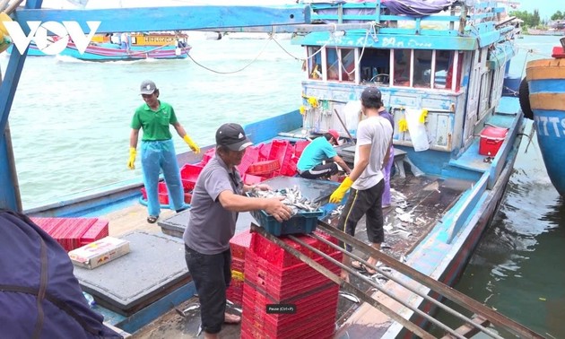 Vietnam’s law ensures effective, sustainable fight against IUU fishing