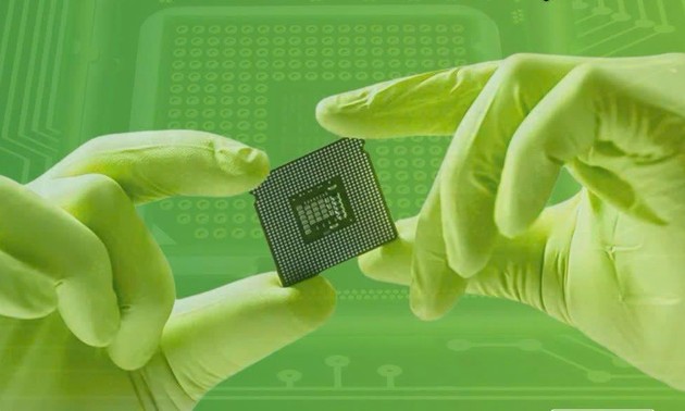 Vietnam, Netherlands work together on semiconductor ecosystem
