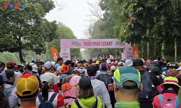 “Cúc Phương Jungle Paths năm 2025” chuyến phiêu lưu kỳ thú qua lõi rừng nguyên sinh