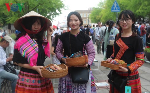 Ouverture de la fête vietnamienne à Kanagawa (Japon)