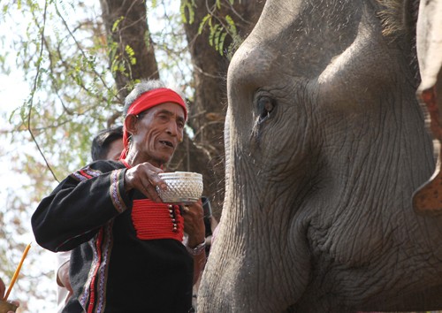 Les éléphants chez les M’Nong