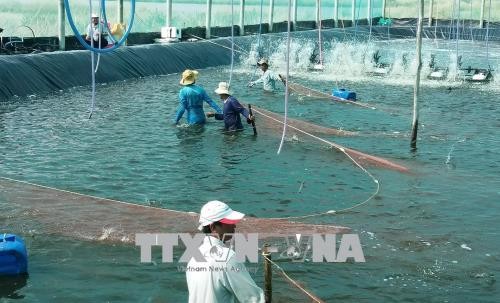 Pêche : Le Vietnam se conforme à l’exigence de la Commission européenne