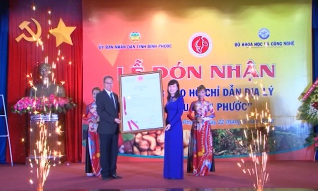 L’indication géographique pour les noix de cajou de Binh Phuoc 