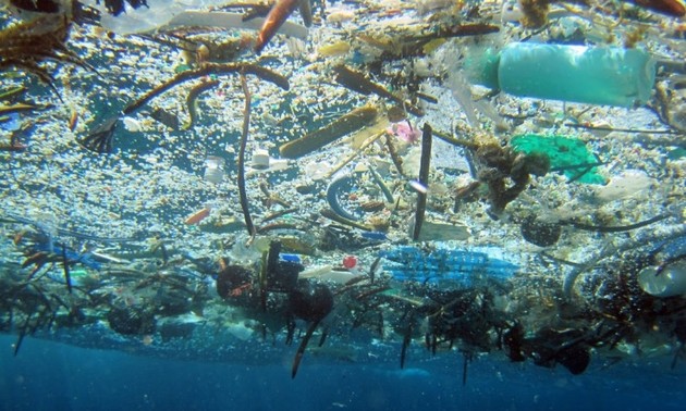 Vietnam responde al Día Mundial del Medio Ambiente y a la Semana del Mar y las Islas en 2018