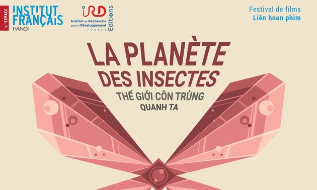 La planète des insectes projetée sur le grand écran