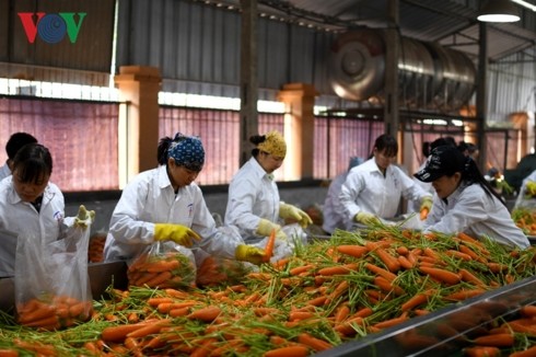 Agriculture: coopération entre les producteurs et les transformateurs