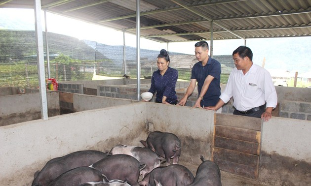 Hoàng Thi Nhung ou la volonté de réussir