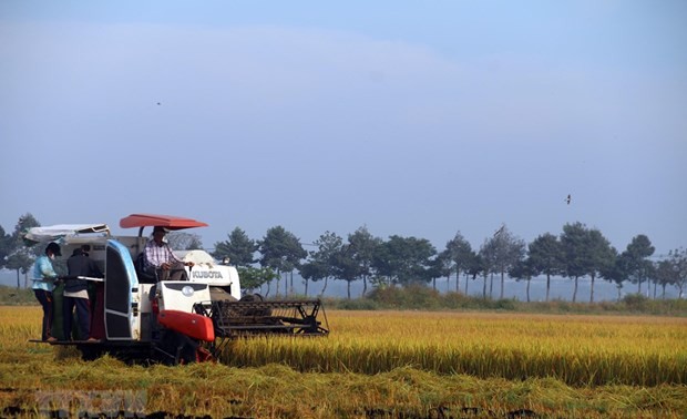 Le Vietnam organise son 2e dialogue national sur les systèmes alimentaires