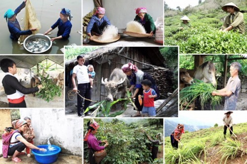 L’éradication de la pauvreté et les progrès du Vietnam