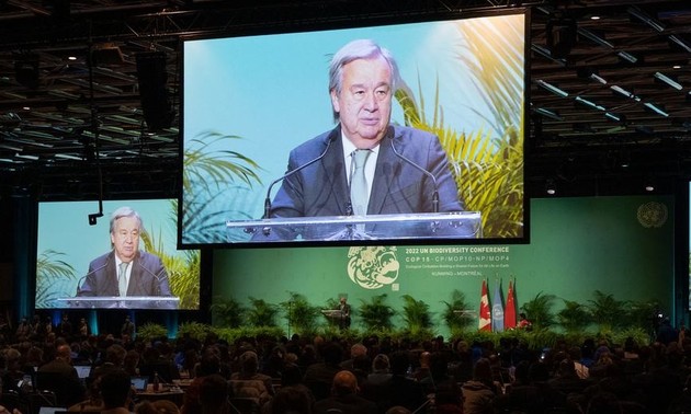 Cop15: quels sont les enjeux de la Conférence de l’ONU sur la biodiversité à Montréal?