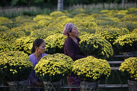 ベトナムの竹笛による演奏
