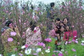 ベトナムの春雰囲気を伝える歌